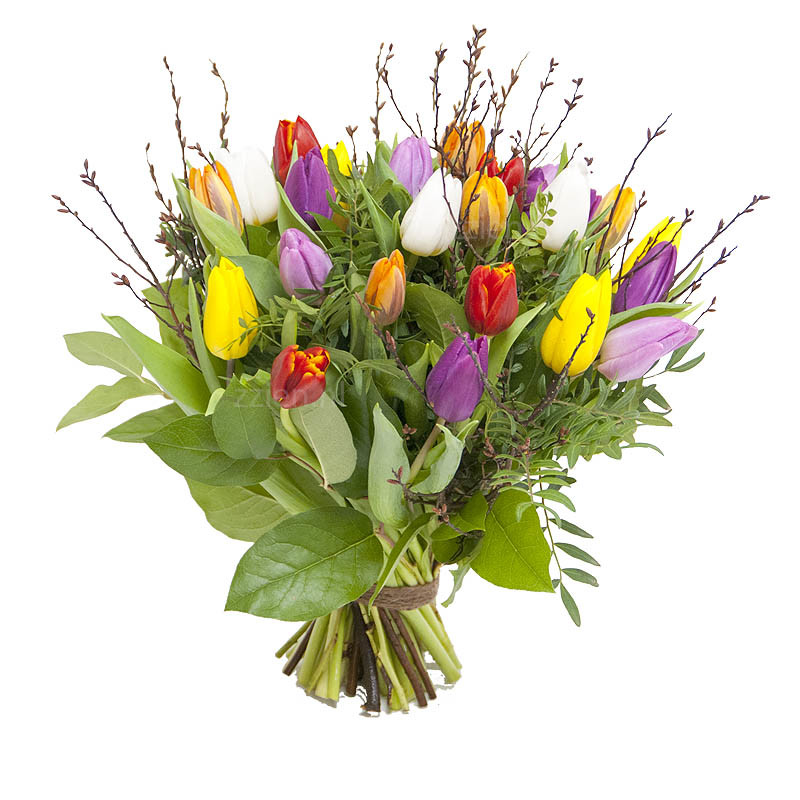 Tulpen